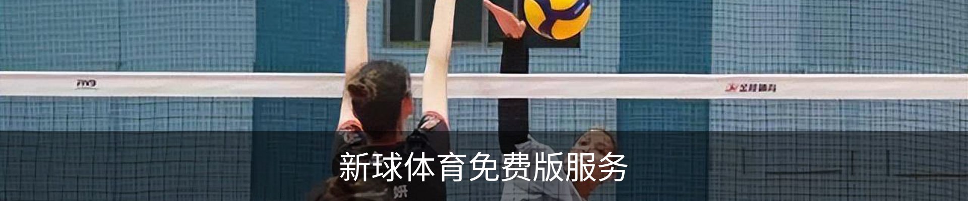 新球体育免费版服务